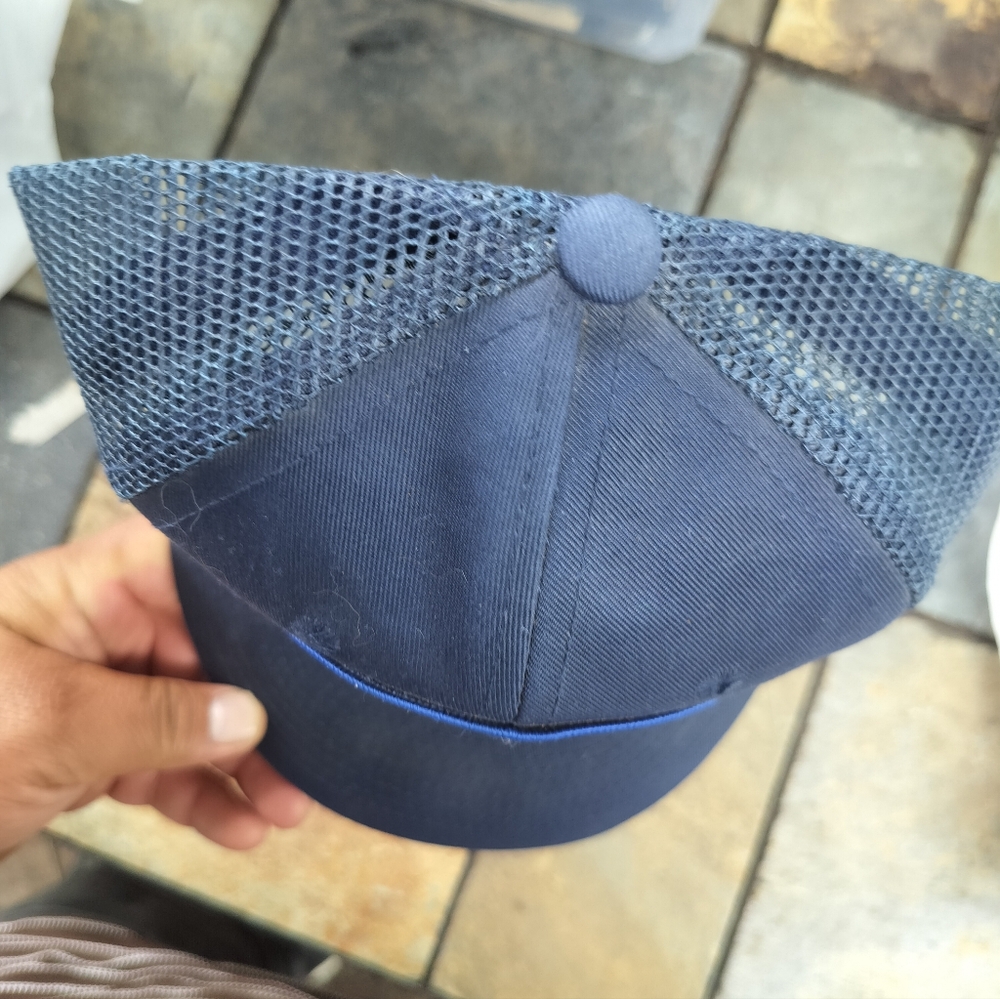 George Blue Rural Carrier Cap - Picture 3 of 9